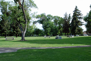 Louis Park, Stockton, CA